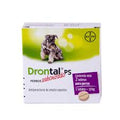 DRONTAL PERRO PEQUEÑO