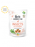 SNACKS BRIT INSECTS WHIT SALMON ENRICHED WHITH THYME
