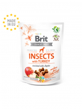SNACKS BRIT INSECTS WHIT TURKEY AND APPLES