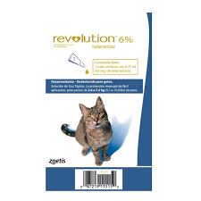 REVOLUTION GATO