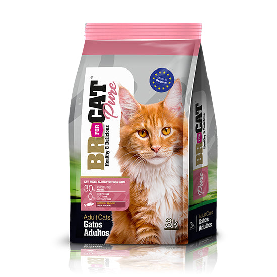 BR GATO ADULTO SALMON X 10 KG