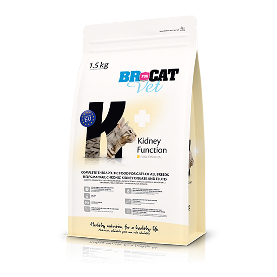 BR VET KIDNEY FUNCTION GATOS X 3 KG