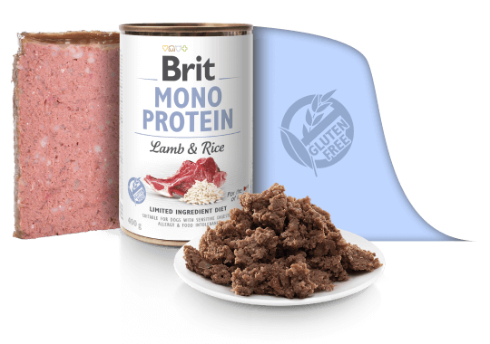LATA BRIT MONO PROTEIN LAMB & RICE X 400 gr