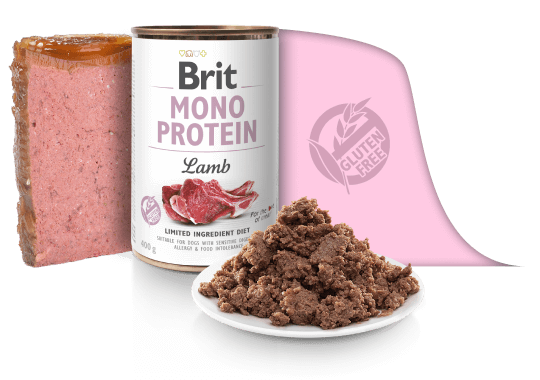 LATA BRIT MONO PROTEIN – LAMB X 400 gr