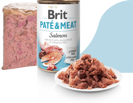 LATA BRIT PATÉ & MEAT - SALMON  X 400 gr