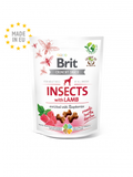 SNACKS BRIT INSECTS WHIT LAMB ENRICHED WHIT RASPBERRIES