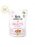 SNACK BRIT INSECT WITH WHEY ENRICHED WITH PROBIOTICS