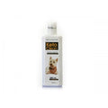 KETO CLEAN X 250 ml
